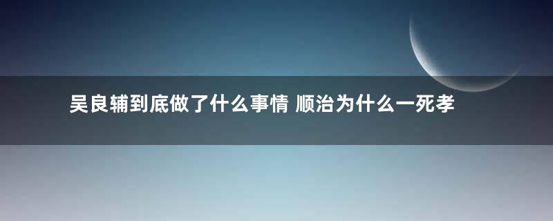 吴良辅到底做了什么事情 顺治为什么一死孝庄就杀了她